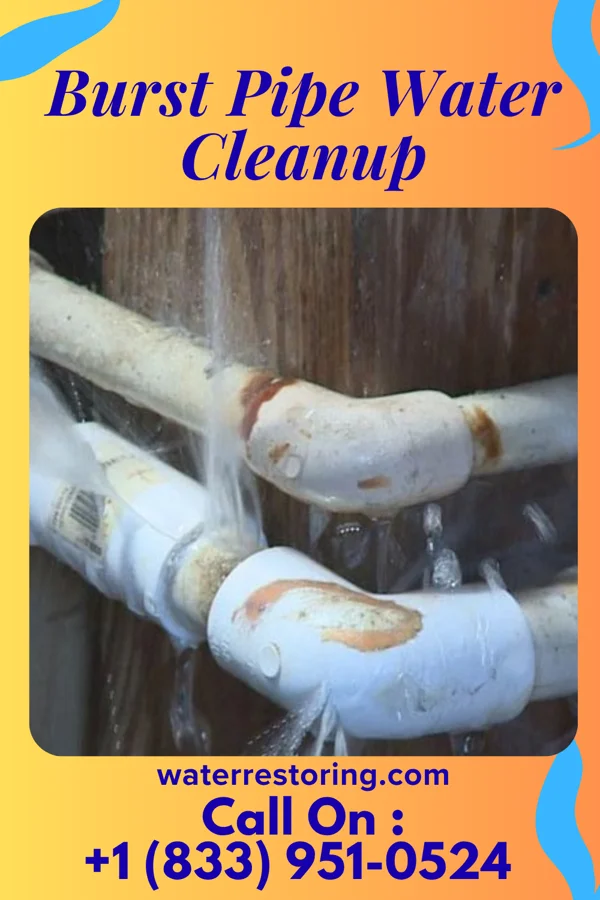 Burst Pipe Water Cleanup in Eddyville, NE