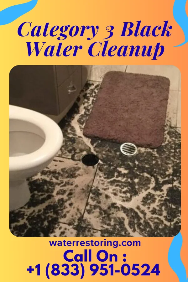 Category 3 Black Water Cleanup in Eddyville, NE
