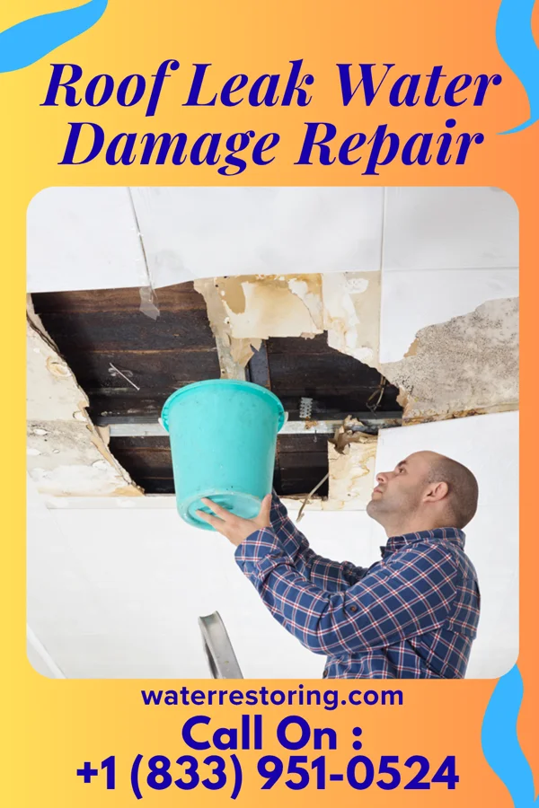 Roof Leak Water Damage Repair in Eddyville, NE