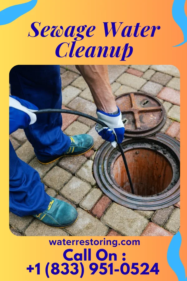 Sewage Water Cleanup in Eddyville, NE