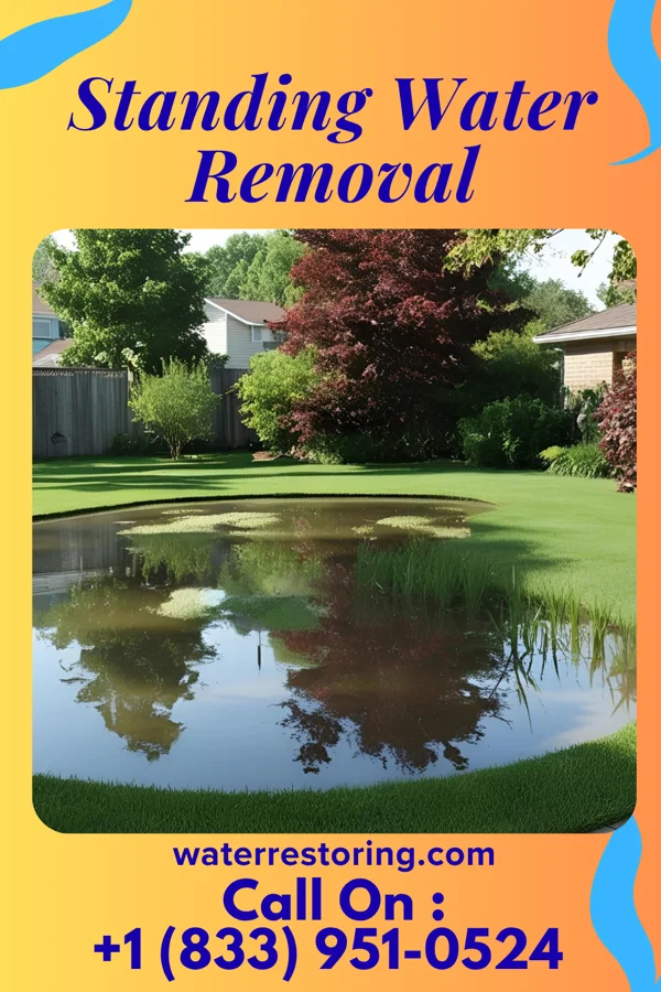 Standing Water Removal in Eddyville, NE
